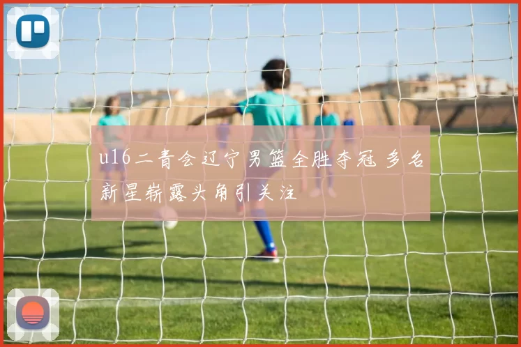 u16二青会辽宁男篮全胜夺冠 多名新星崭露头角引关注