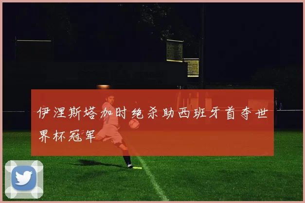 伊涅斯塔加时绝杀助西班牙首夺世界杯冠军