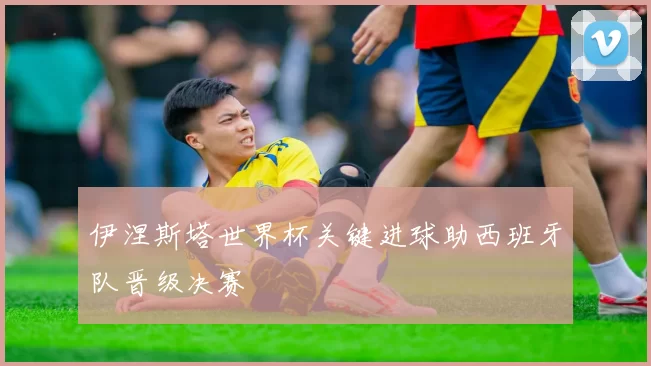 伊涅斯塔世界杯关键进球助西班牙队晋级决赛