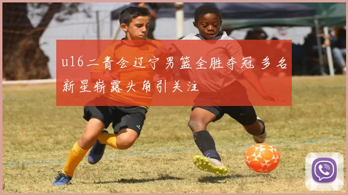 u16二青会辽宁男篮全胜夺冠 多名新星崭露头角引关注