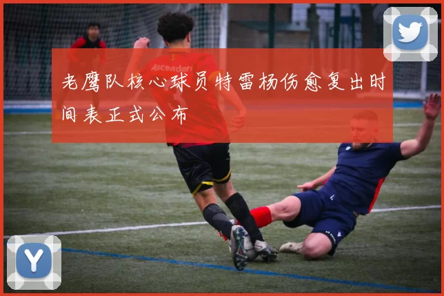 老鹰队核心球员特雷杨伤愈复出时间表正式公布