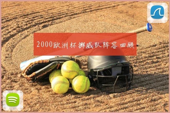 2000欧洲杯挪威队阵容回顾