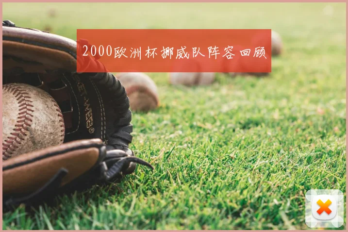 2000欧洲杯挪威队阵容回顾