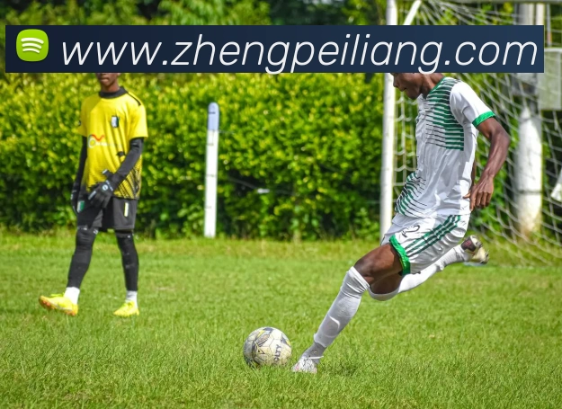 环球体育平台官网APP 高清赛事图